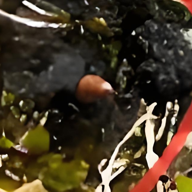 冬虫夏草图片/307-480/331.jpg