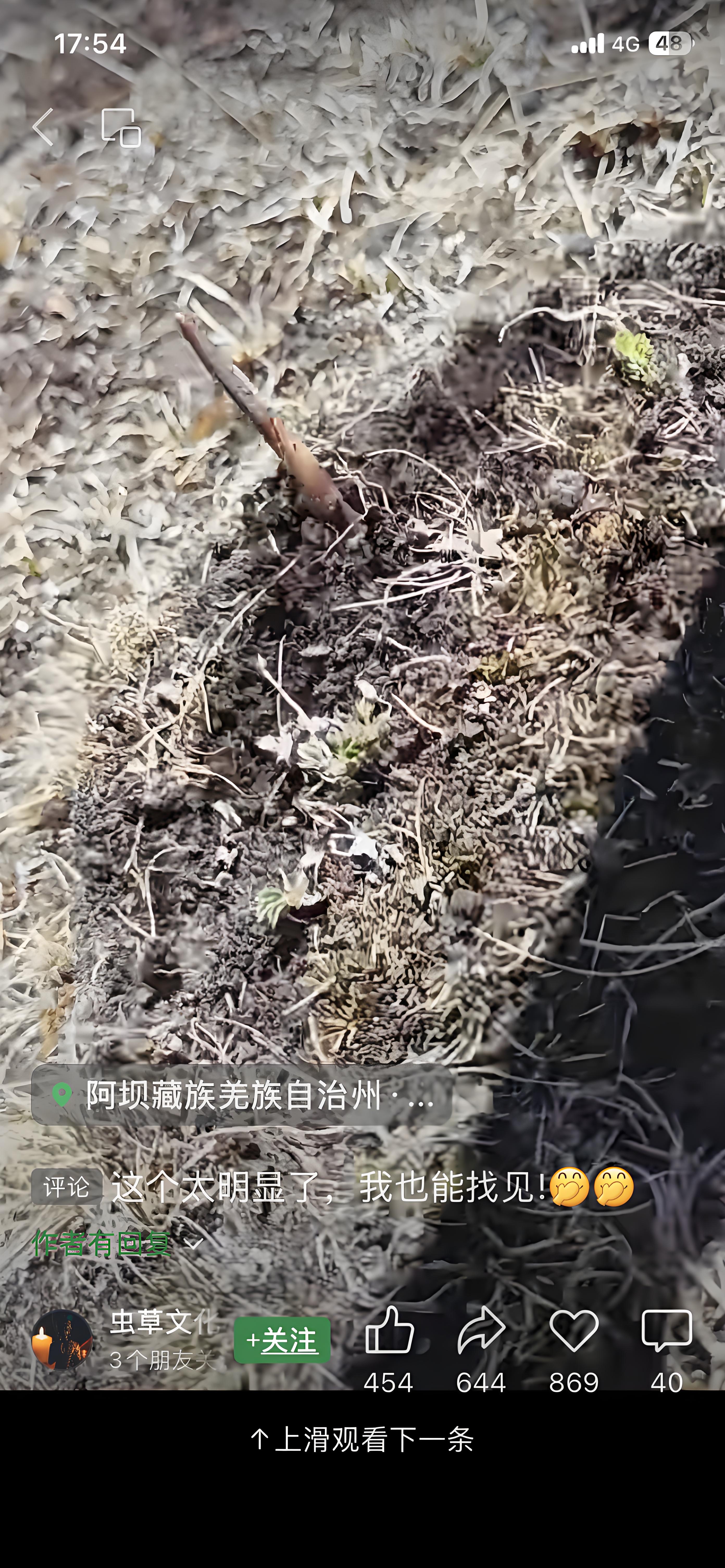冬虫夏草图片/93.jpg